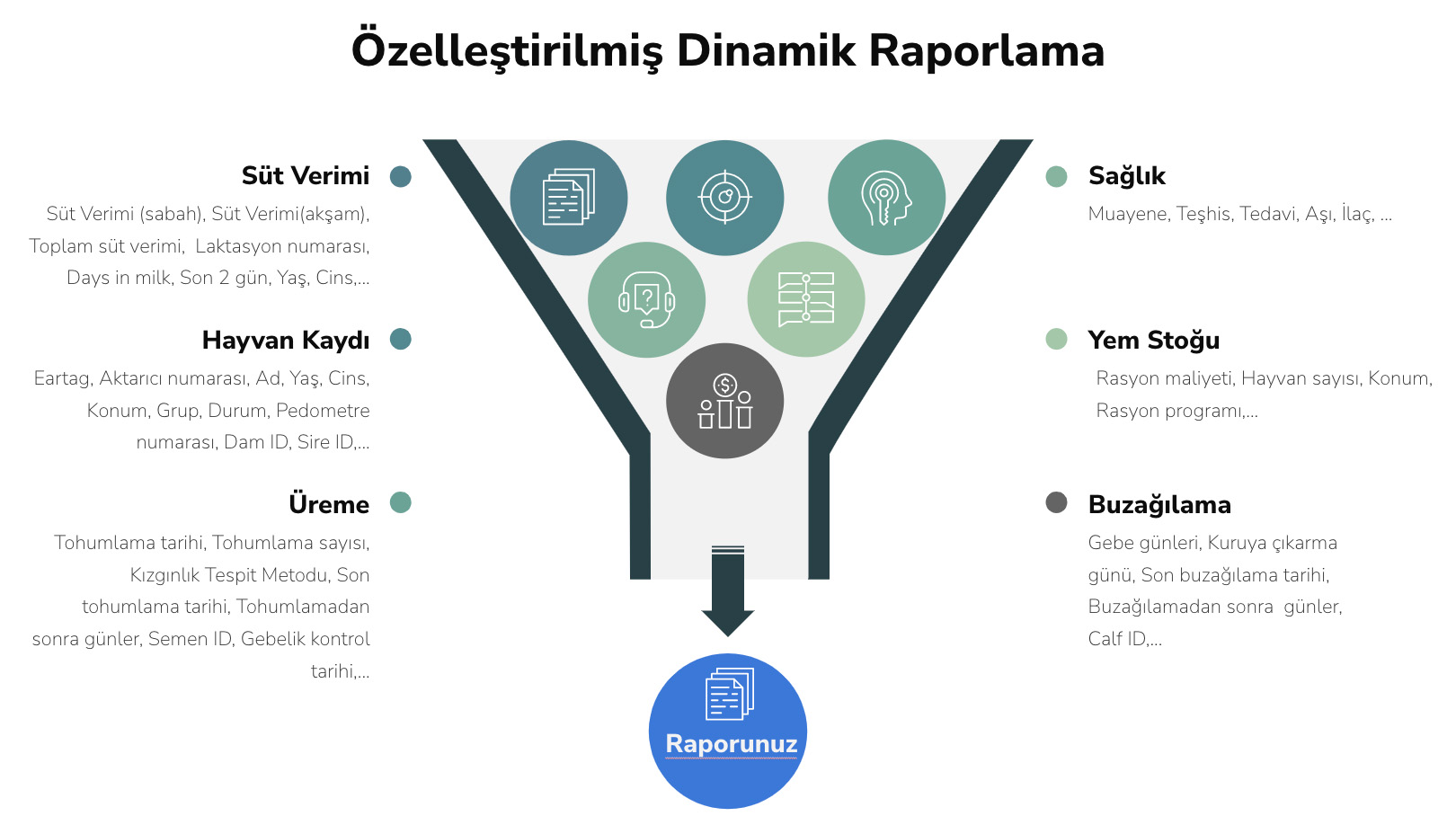 Çiftlik Yönetimi, Günlük İşler ve Raporlar