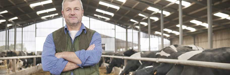 Süt Çiftliğinizi Modernleştirmede 5 Önemli Adım